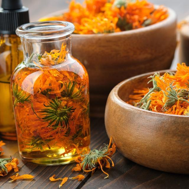 Image for Verwendung von Kräutern und Pflanzen