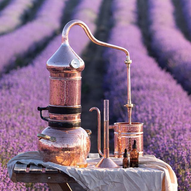 Image for Ätherische Öle und ihre gesundheitlichen Vorteile