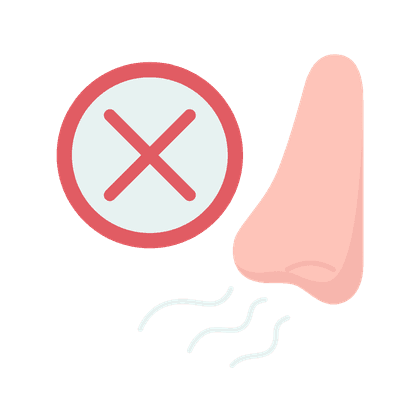 Anosmie (Verlust des Geruchsinns)